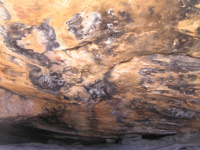 tagalong106.jpg