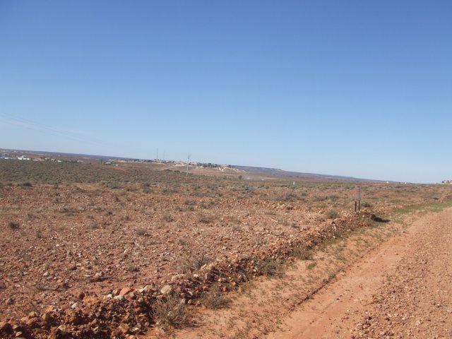 tagalong128.jpg