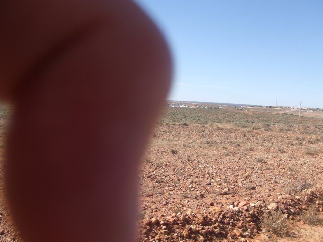 tagalong131.jpg