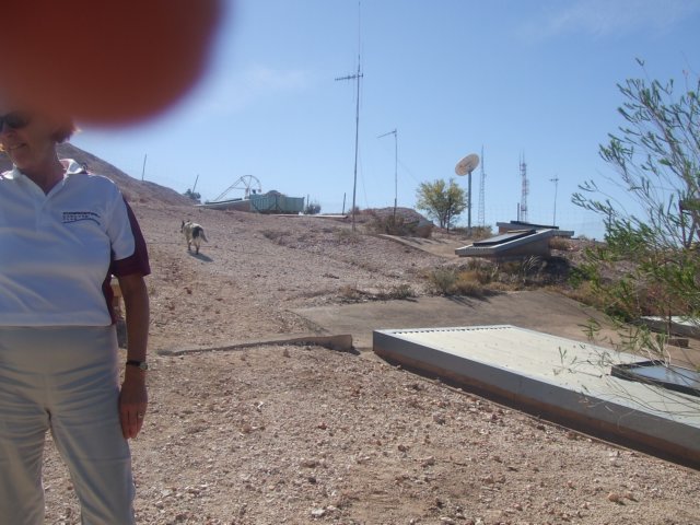 tagalong135.jpg