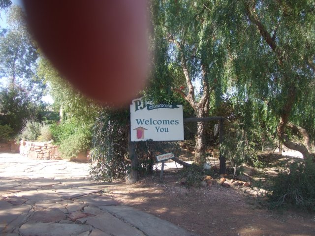 tagalong136.jpg