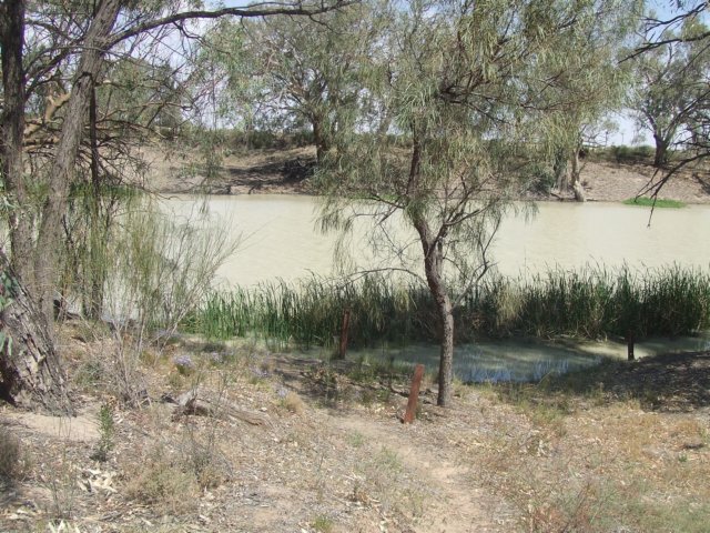 tagalong1389.jpg