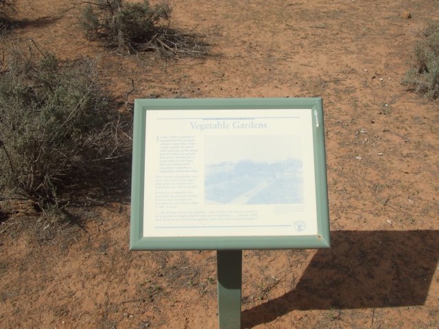 tagalong1428.jpg