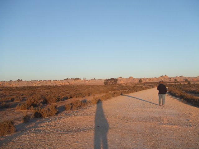 tagalong1525.jpg
