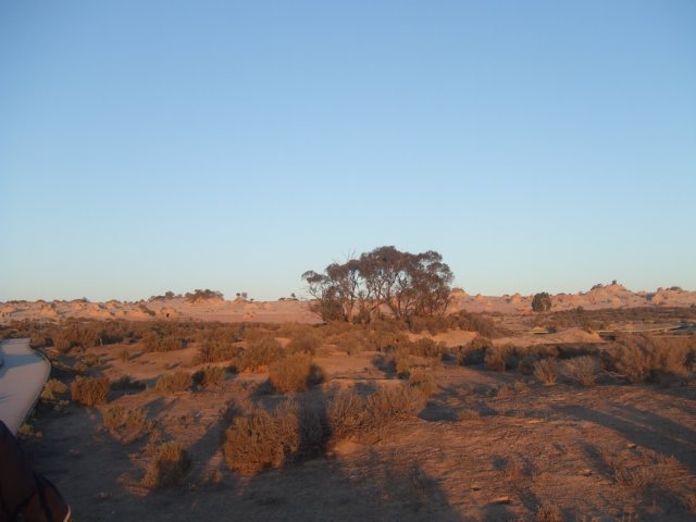 tagalong1527.jpg