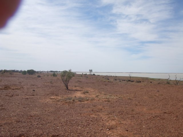 tagalong155.jpg