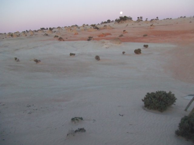 tagalong1561.jpg