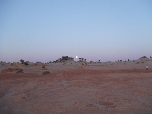 tagalong1562.jpg