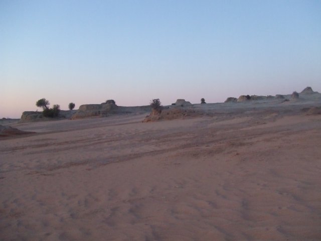tagalong1563.jpg