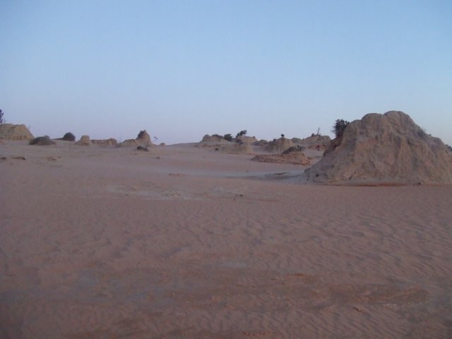 tagalong1565.jpg