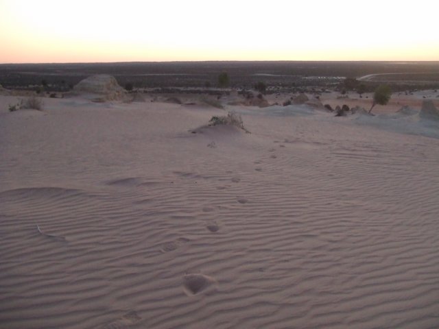 tagalong1569.jpg