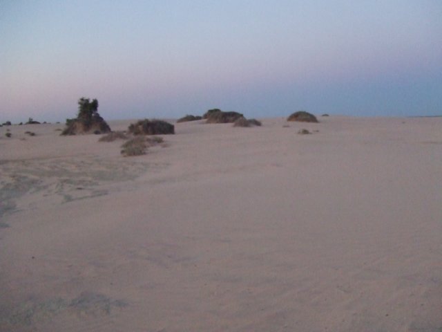tagalong1572.jpg