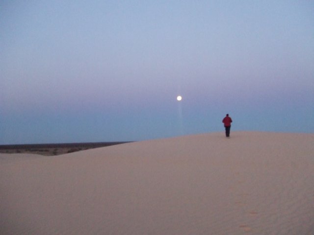 tagalong1577.jpg