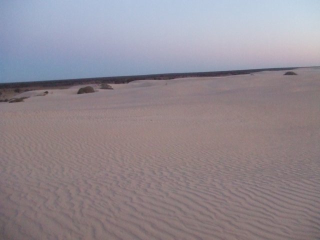 tagalong1578.jpg