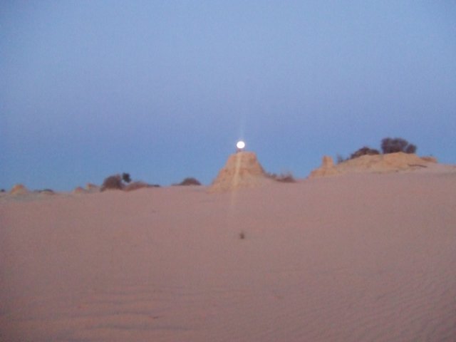 tagalong1584.jpg