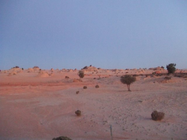 tagalong1587.jpg