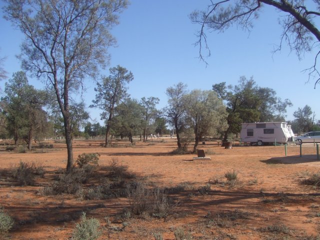tagalong1606.jpg