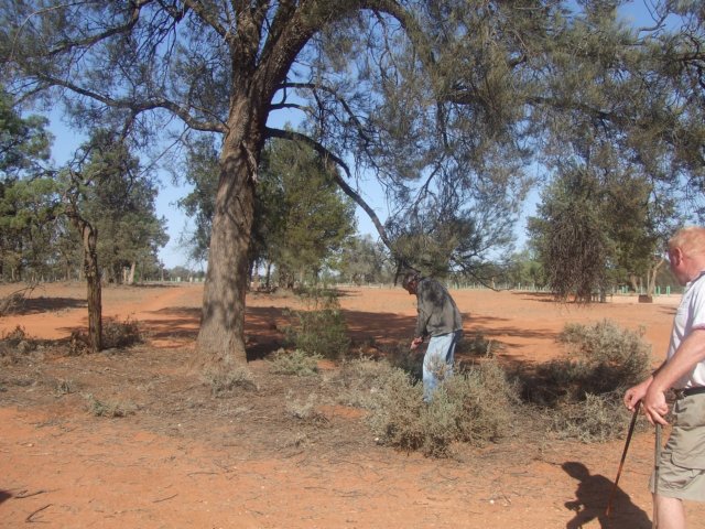 tagalong1610.jpg