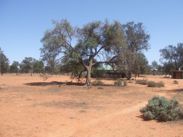 tagalong1612.jpg