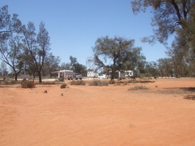 tagalong1613.jpg