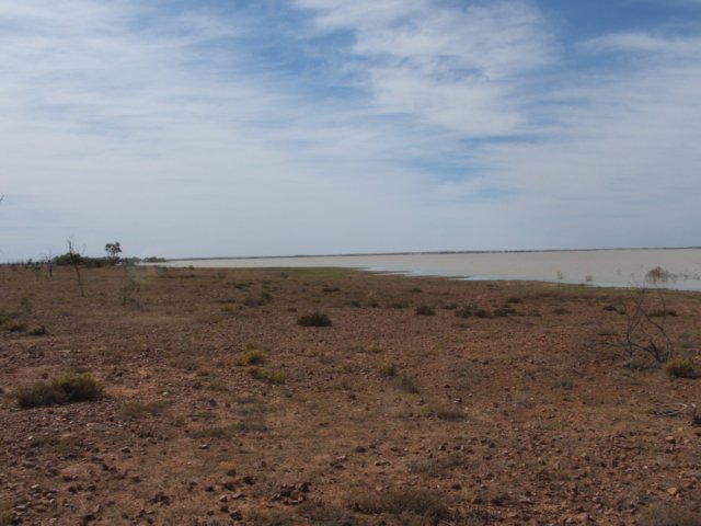tagalong163.jpg