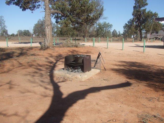 tagalong1633.jpg