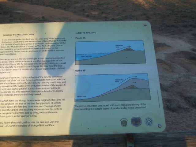 tagalong1643.jpg