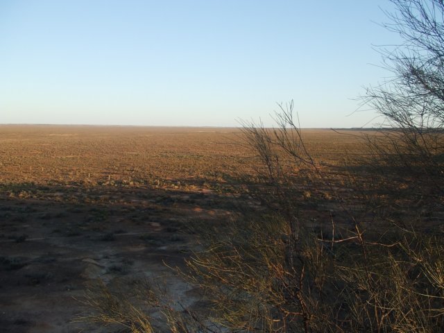 tagalong1646.jpg