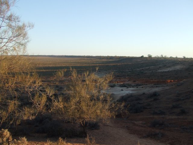 tagalong1647.jpg