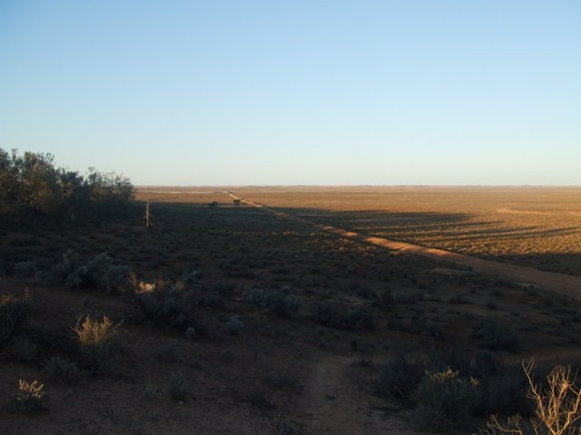tagalong1649.jpg
