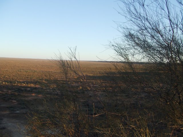 tagalong1652.jpg