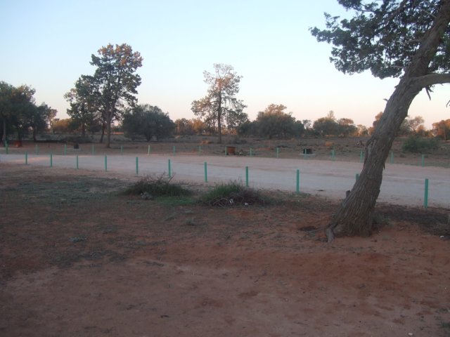 tagalong1662.jpg