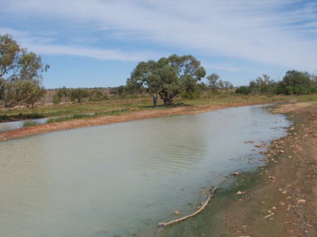 tagalong169.jpg