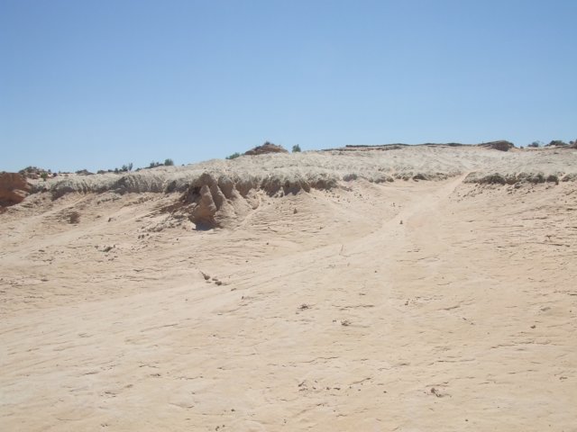 tagalong1705.jpg