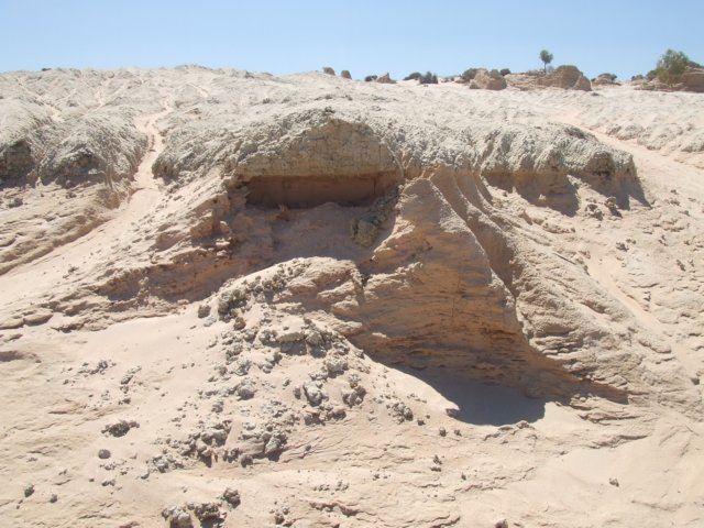 tagalong1707.jpg