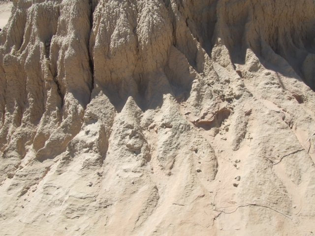 tagalong1719.jpg