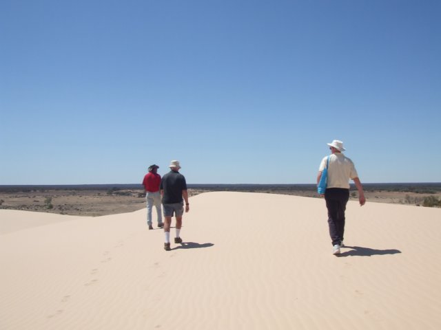 tagalong1720.jpg