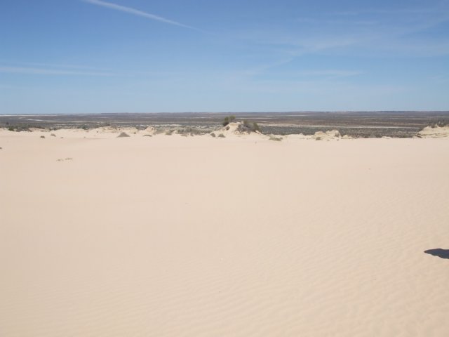 tagalong1726.jpg