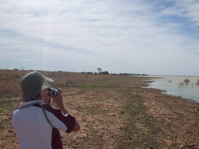 tagalong173.jpg