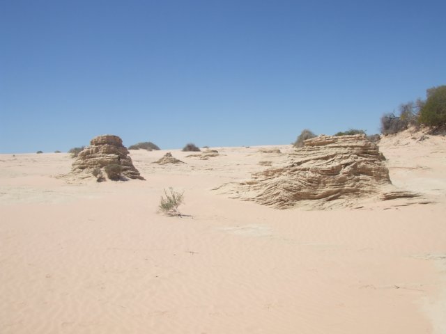 tagalong1730.jpg