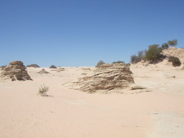tagalong1731.jpg