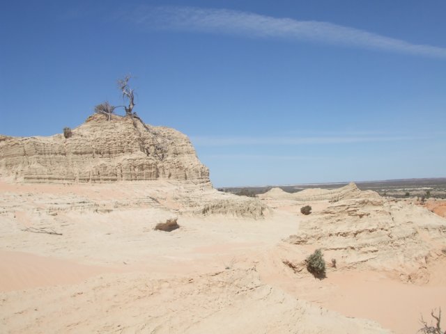 tagalong1733.jpg