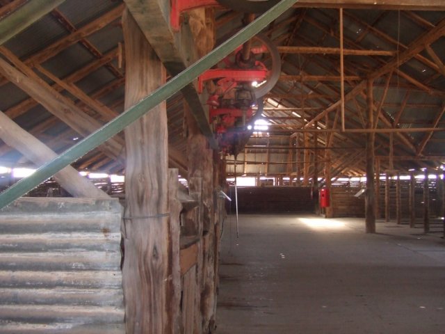 tagalong1751.jpg