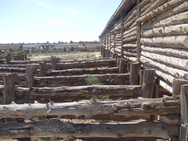 tagalong1752.jpg
