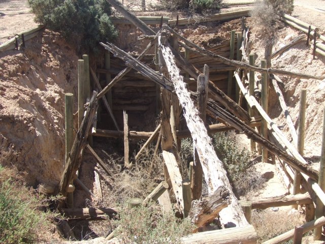 tagalong1755.jpg