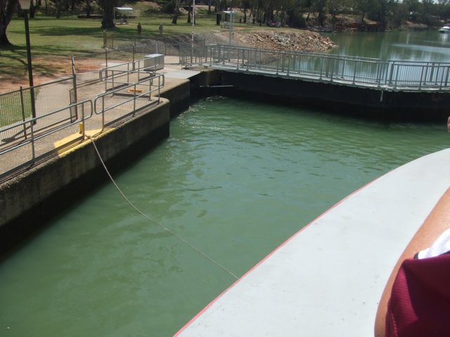 tagalong1784.jpg