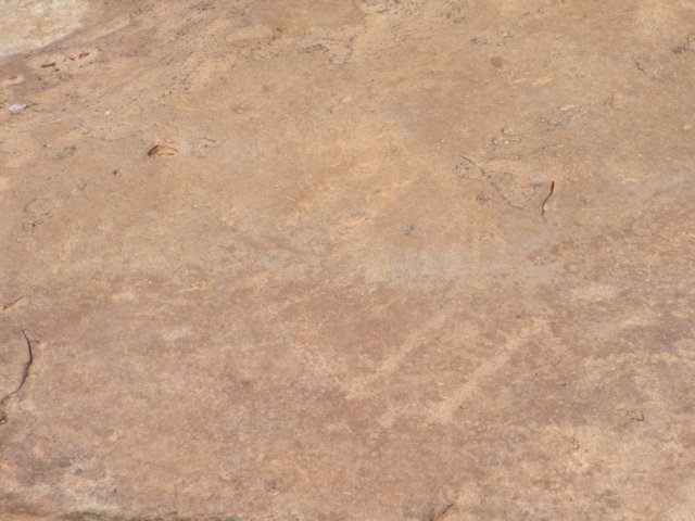 tagalong182.jpg