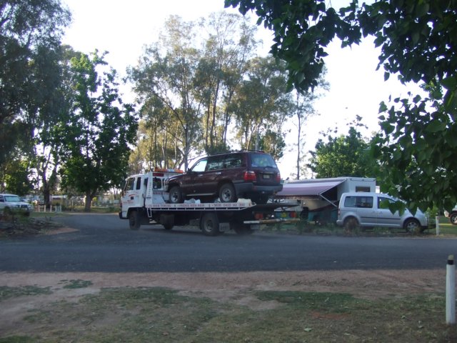 tagalong1824.jpg