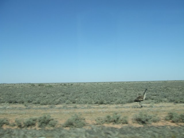 tagalong1843.jpg