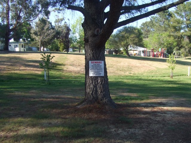 tagalong1852.jpg